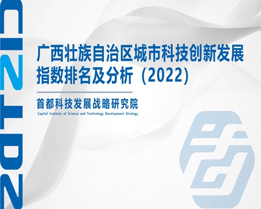 爆操多毛逼【成果发布】广西壮族自治区城市科技创新发展指数排名及分析（2022）